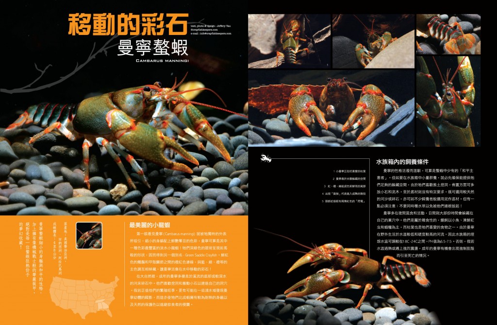 DWC-issue1-1a