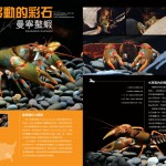 DWC-issue1-1a